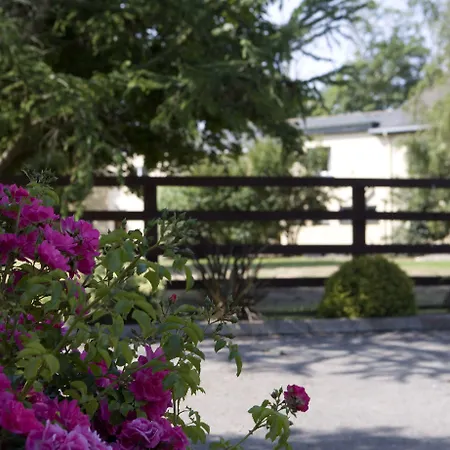 The Farmers Kitchen Otel Drinagh (Wexford)